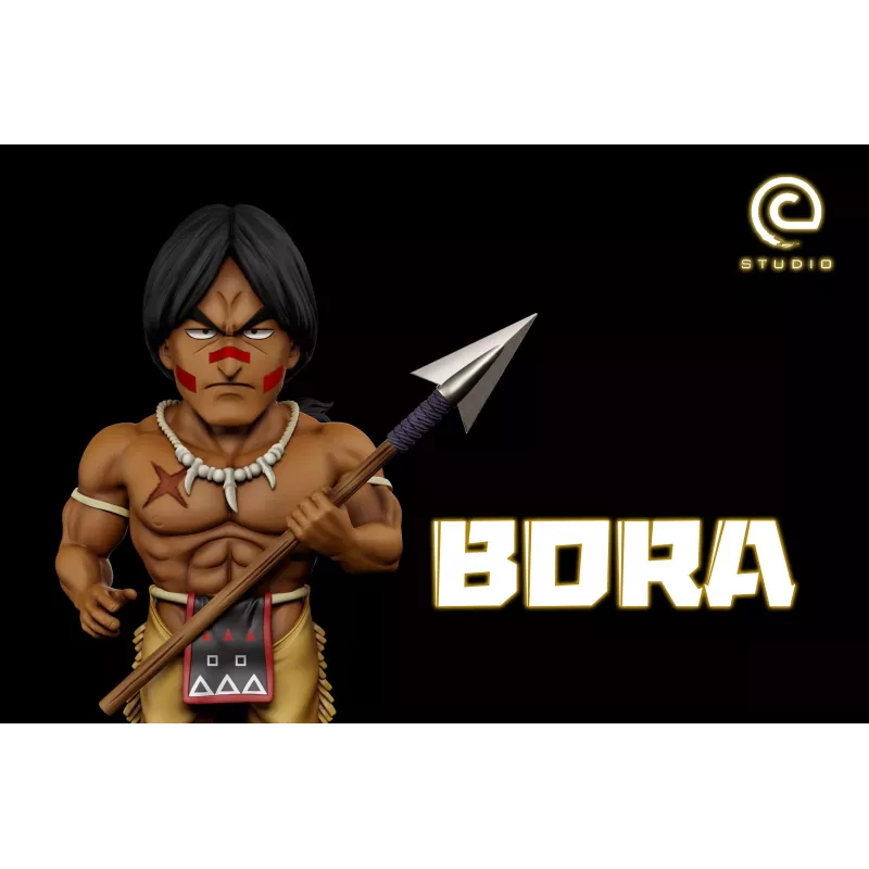 Dragon Ball Bora WCF C Studio