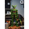 Dragon Ball Z Cell First Form XG Studio