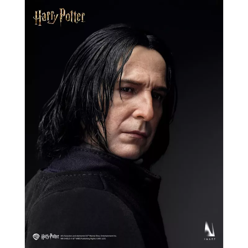 Harry Potter Severus Snape Inart Collectibles