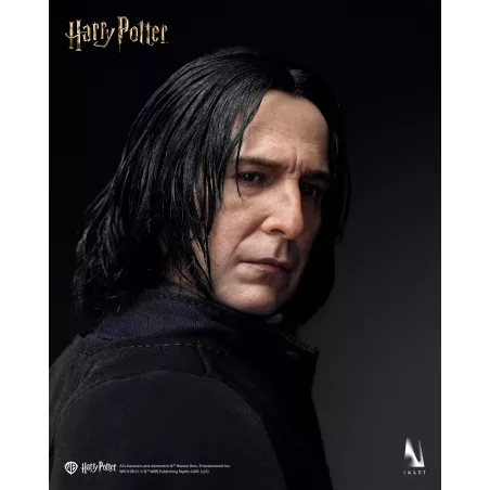 Harry Potter Severus Snape Inart Collectibles