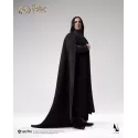 Harry Potter Severus Snape Inart Collectibles