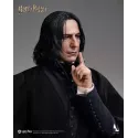 Harry Potter Severus Snape Inart Collectibles