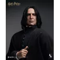 Harry Potter Severus Snape Inart Collectibles