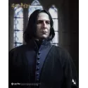 Harry Potter Severus Snape Inart Collectibles