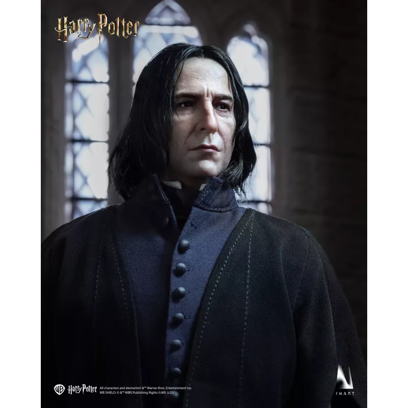 Harry Potter Severus Snape Inart Collectibles