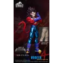Dragon Ball GT Goku Vegeta Gogeta SSJ4 V2 Violent Bear