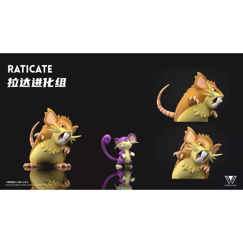 Pokémon Raticate Evolution Set Wonder Studio