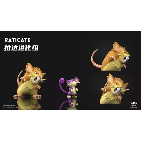 Pokémon Raticate Evolution Set Wonder Studio