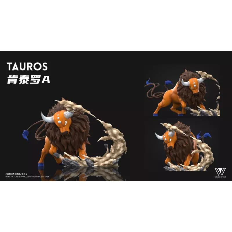 Pokémon Tauros Wonder Studio