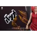 Naruto Shippuden Haruno Sakura Sakura Studio