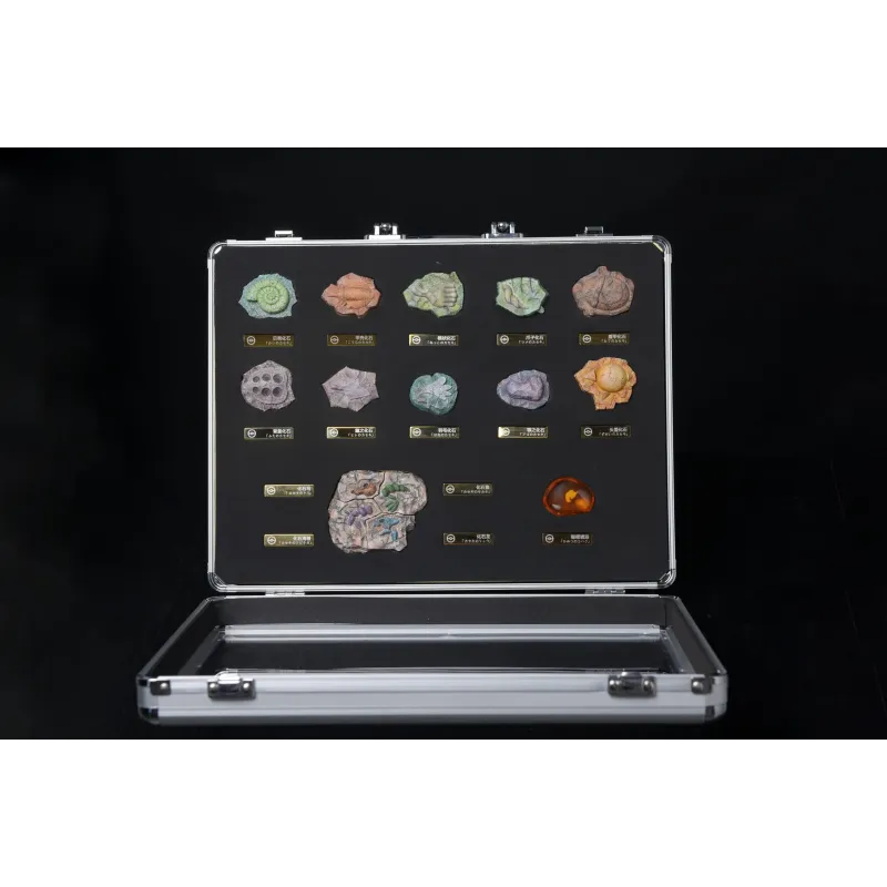 Pokémon Fossil Set Bai Jing Wu Studio