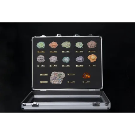 Pokémon Fossil Set Bai Jing Wu Studio