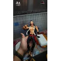 One Piece CP0 CP9 Jabra Long Hu Studio