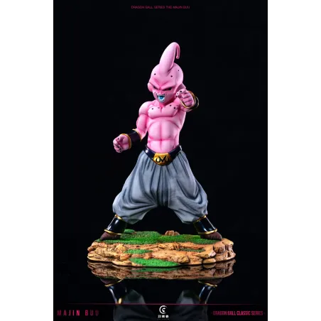 Dragon Ball Z Kid Buu To Youth Studio