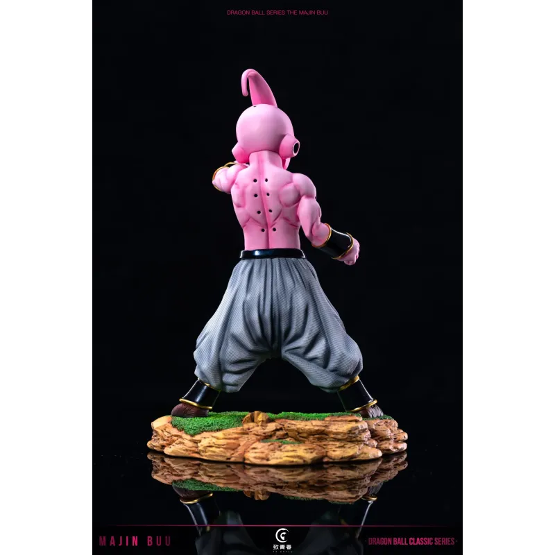 Dragon Ball Z Kid Buu To Youth Studio