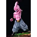 Dragon Ball Z Kid Buu To Youth Studio