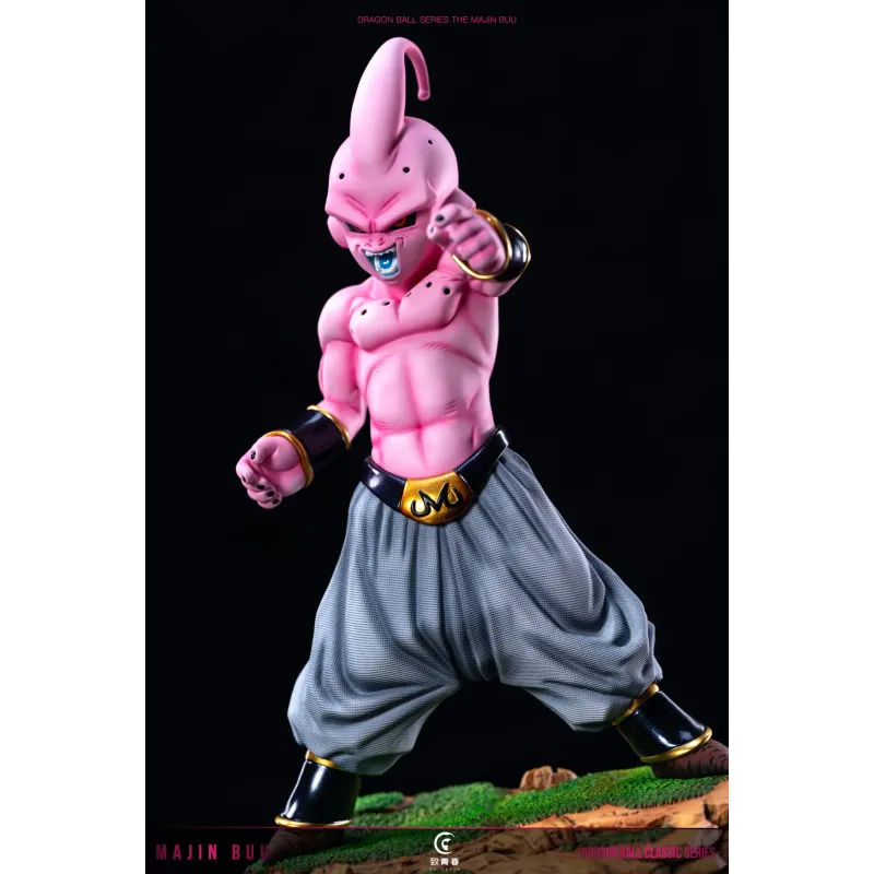 Dragon Ball Z Kid Buu To Youth Studio