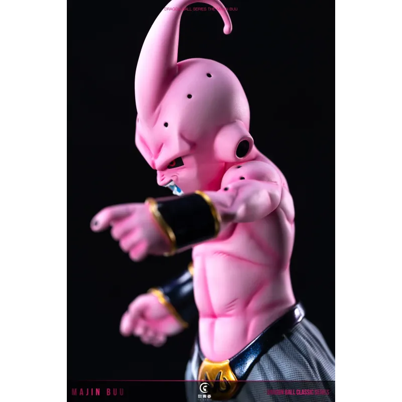 Dragon Ball Z Kid Buu To Youth Studio