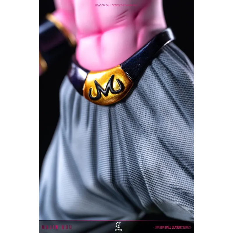 Dragon Ball Z Kid Buu To Youth Studio