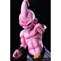 Dragon Ball Z Kid Buu To Youth Studio