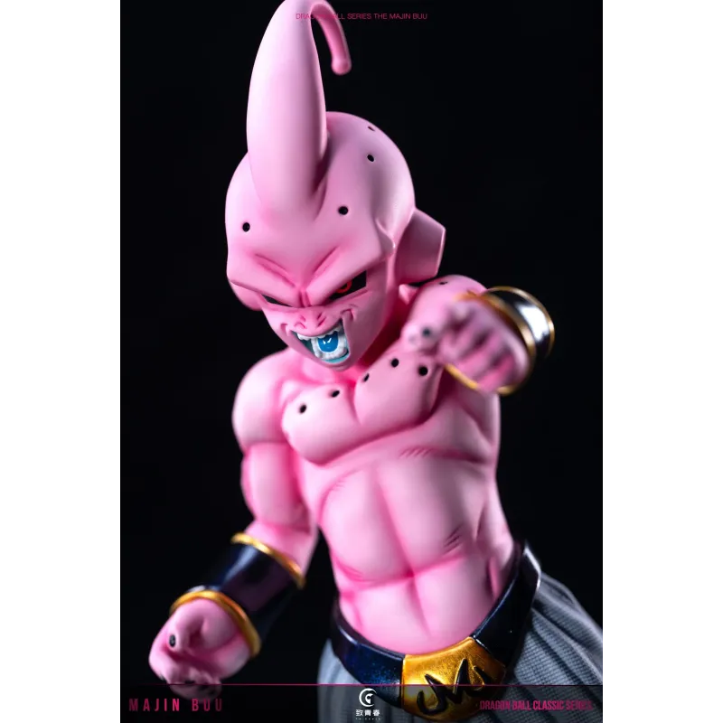 Dragon Ball Z Kid Buu To Youth Studio
