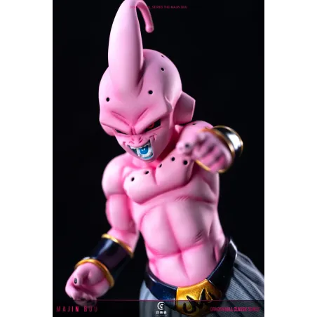 Dragon Ball Z Kid Buu To Youth Studio