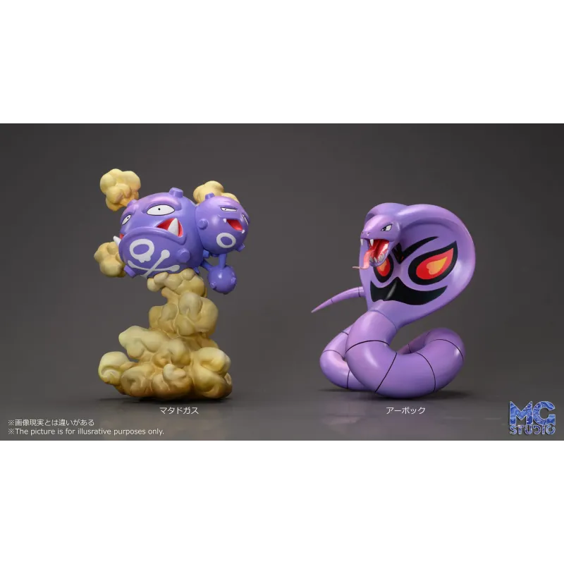 Pokémon Team Rocket MG Studio