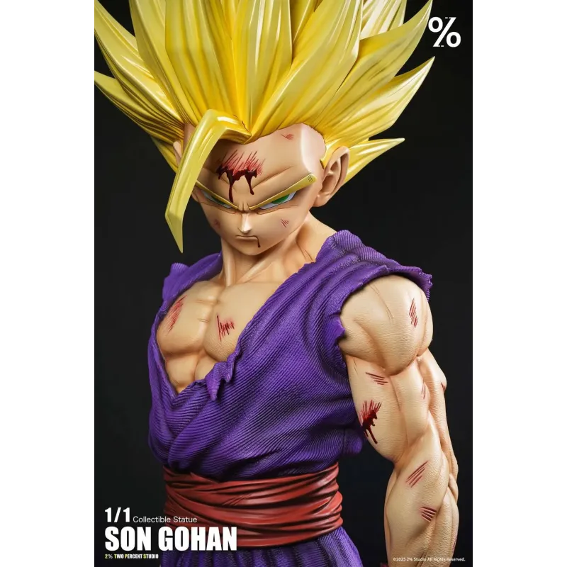 Dragon Ball Z Gohan SSJ2 Life Size 1/1 2% Studio