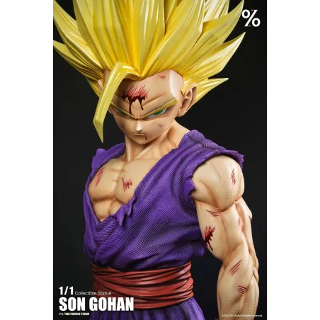 Dragon Ball Z Gohan SSJ2 Life Size 1/1 2% Studio