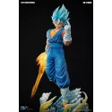 Dragon Ball Z Vegetto DU Studio