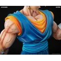 Dragon Ball Z Vegetto DU Studio