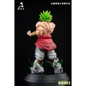Dragon Ball Z Broly Bao Zi A Studio