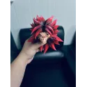 Dragon Ball Z Broly Bao Zi A Studio