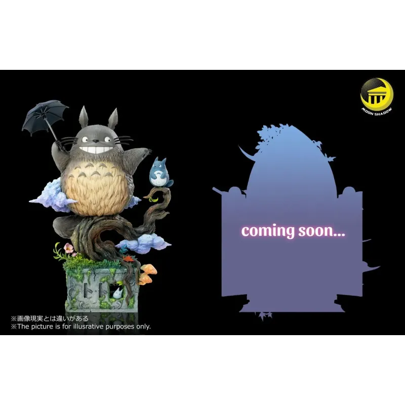 My Neighbor Totoro Moon Shadow Studio