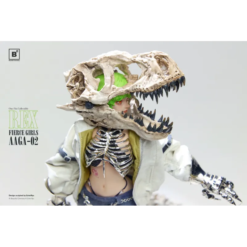Mercenary Gunner AAGA-02 REX FIERCE GIRLS - Beautiful Chemistry