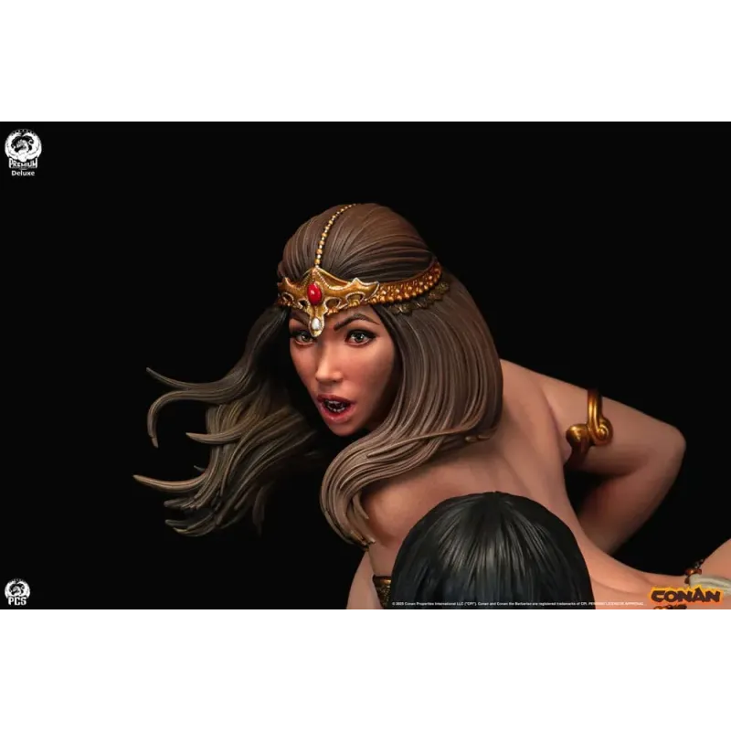 Conan The Barbarian Conan PCS