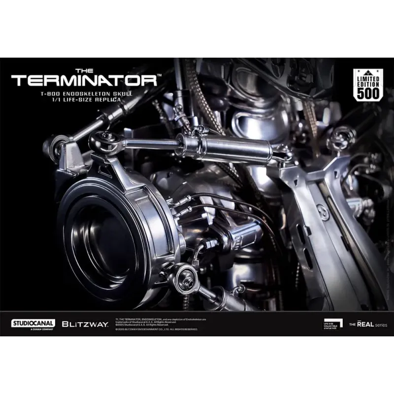 The Terminator The Real 1/1 Life-size Replica T-800 Endoskeleton Skull Blitzway