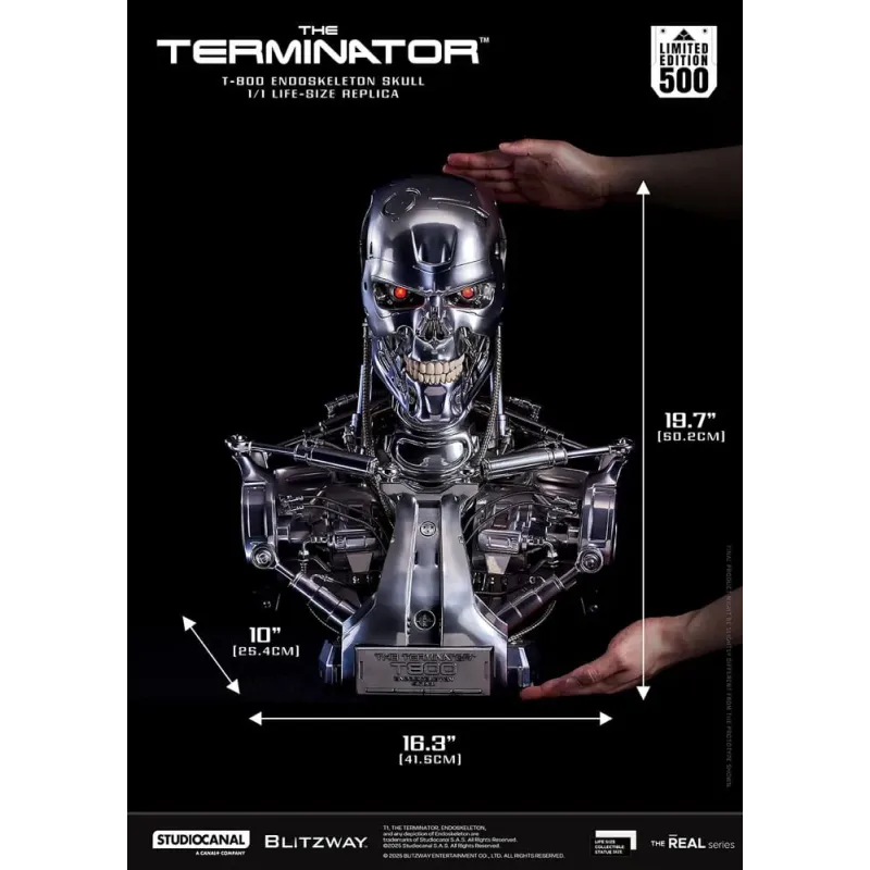 The Terminator The Real 1/1 Life-size Replica T-800 Endoskeleton Skull Blitzway