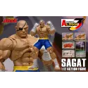 Street Fighter Sagat SF Alpha 3 Storm Arena Storm Toys