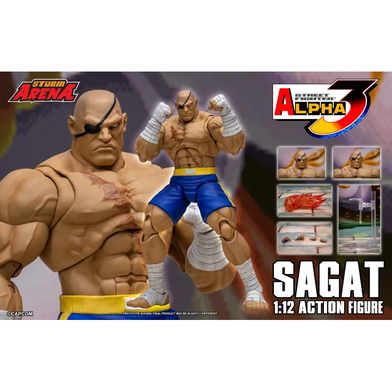 Street Fighter Sagat SF Alpha 3 Storm Arena Storm Toys