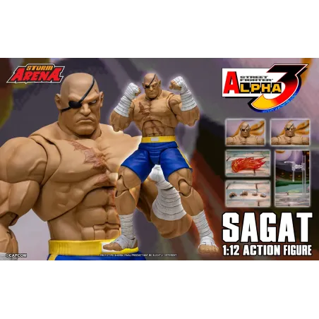 Street Fighter Sagat SF Alpha 3 Storm Arena Storm Toys