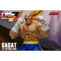 Street Fighter Sagat SF Alpha 3 Storm Arena Storm Toys