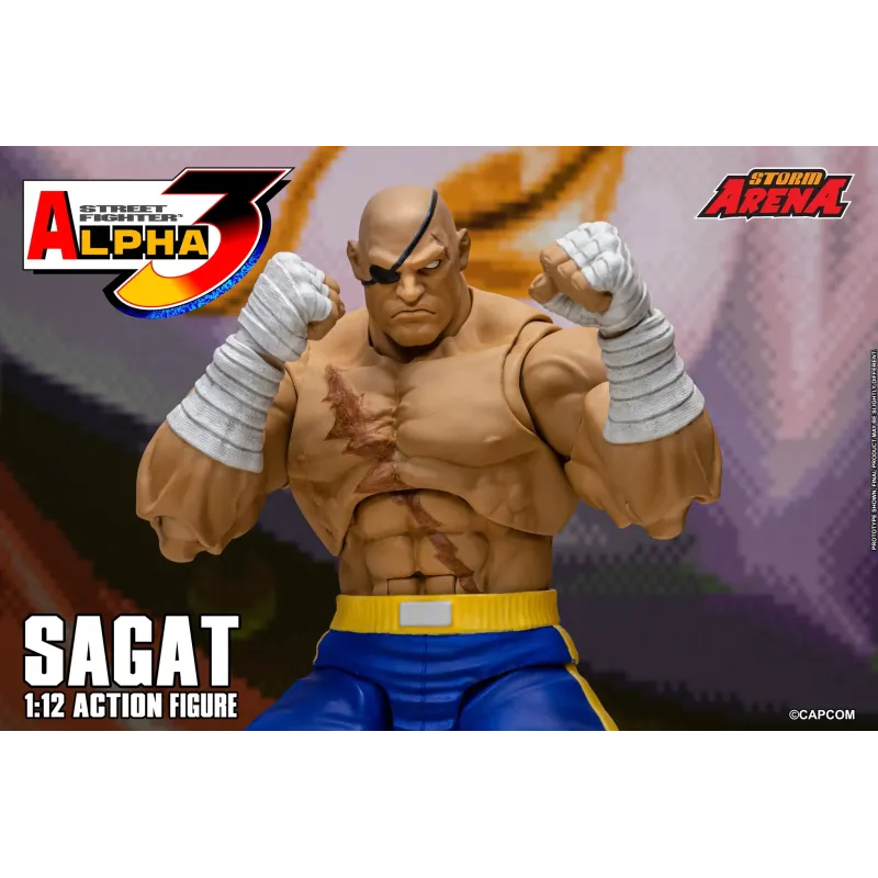 Street Fighter Sagat SF Alpha 3 Storm Arena Storm Toys