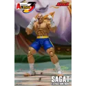 Street Fighter Sagat SF Alpha 3 Storm Arena Storm Toys