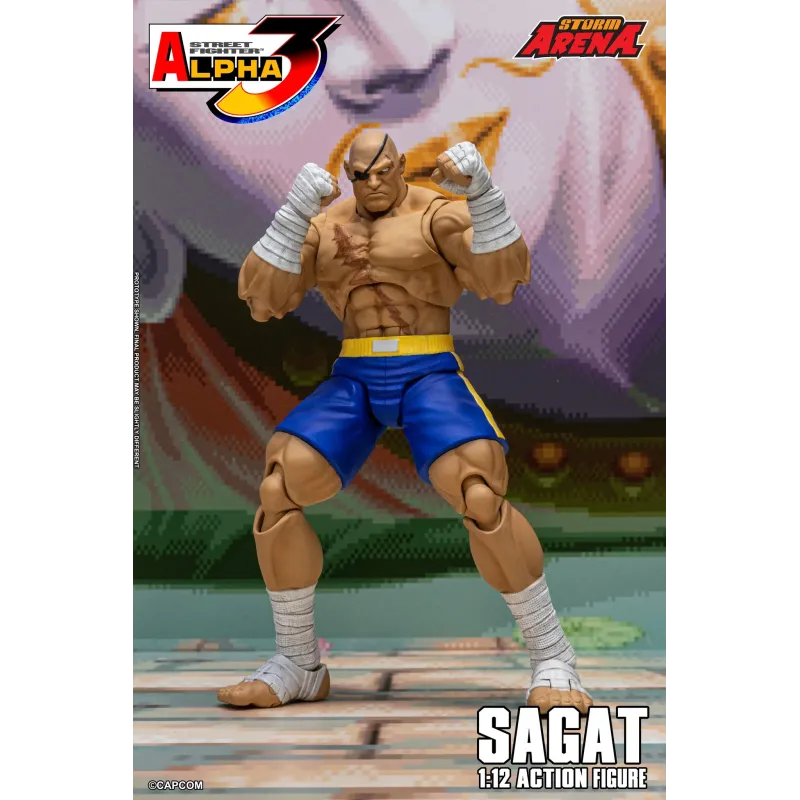 Street Fighter Sagat SF Alpha 3 Storm Arena Storm Toys
