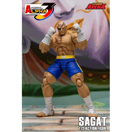 Street Fighter Sagat SF Alpha 3 Storm Arena Storm Toys