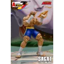 Street Fighter Sagat SF Alpha 3 Storm Arena Storm Toys