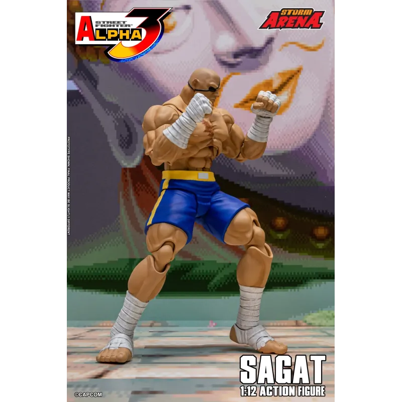 Street Fighter Sagat SF Alpha 3 Storm Arena Storm Toys