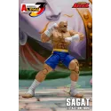 Street Fighter Sagat SF Alpha 3 Storm Arena Storm Toys