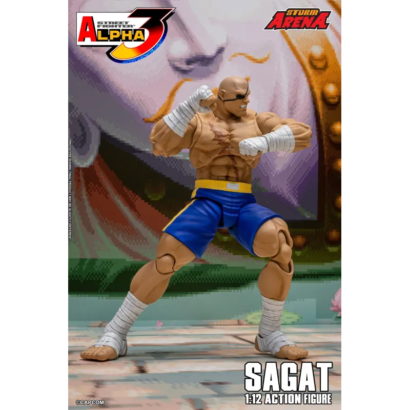 Street Fighter Sagat SF Alpha 3 Storm Arena Storm Toys